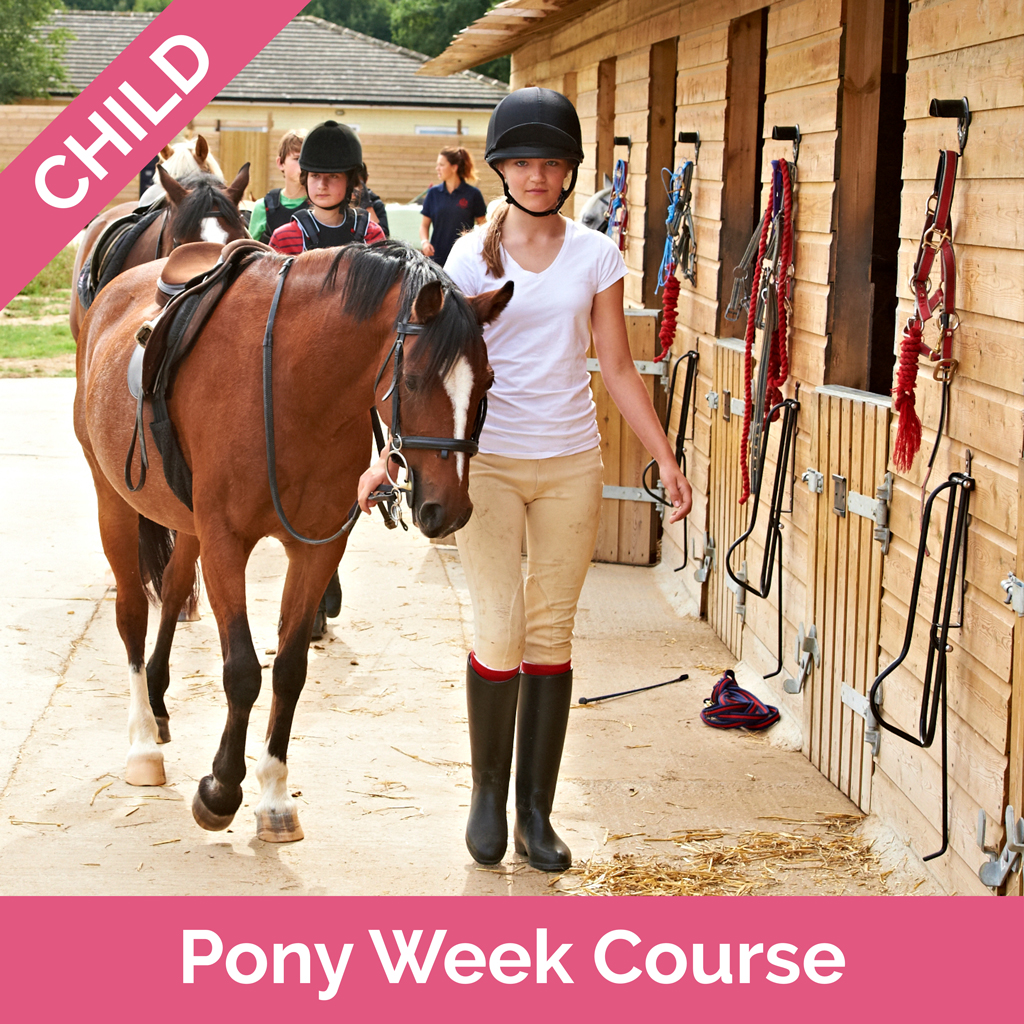 childrens horse riding classes near me