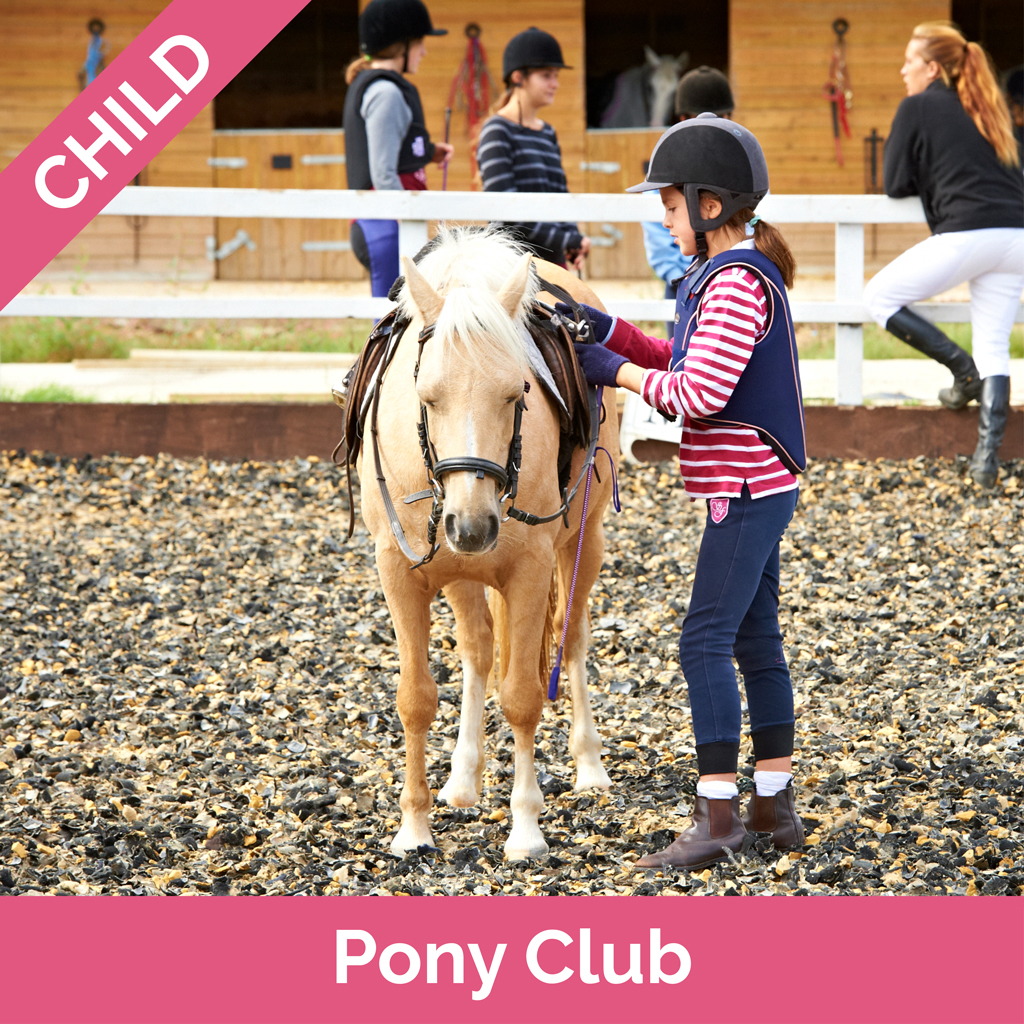 Pony Club Stag Lodge Stables